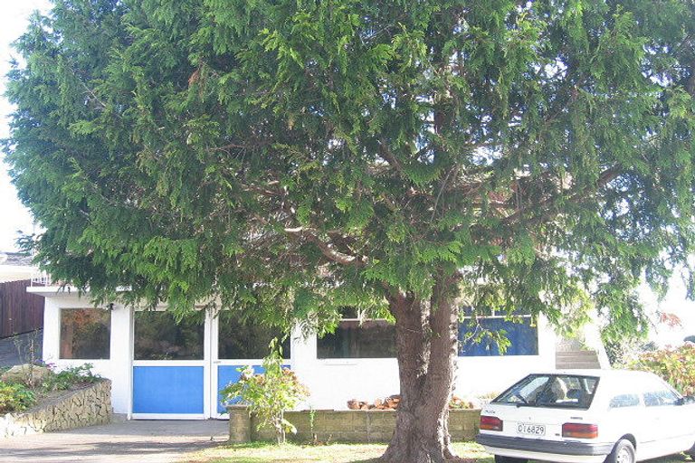 Photo of property in 41 Aorangi Road, Paraparaumu, 5032