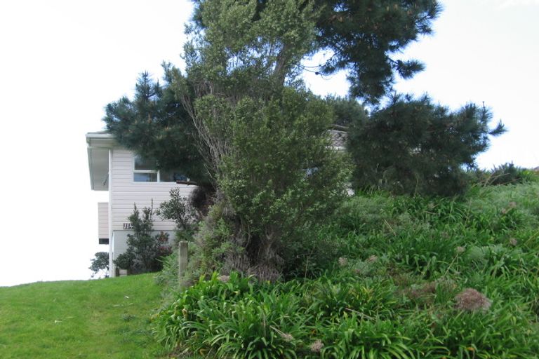 Photo of property in 114 Mangakahia Drive, Whangapoua, Coromandel, 3582