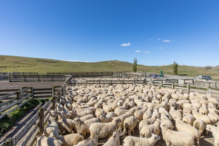 Photo of property in 300 Pattison Road, Akina, Hastings, 4122