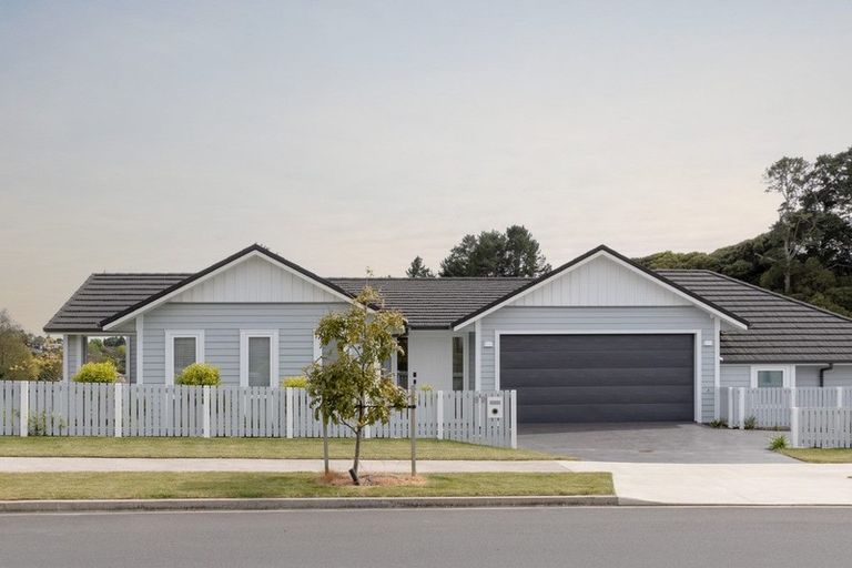 Photo of property in 99 Adler Drive, Ohauiti, Tauranga, 3112