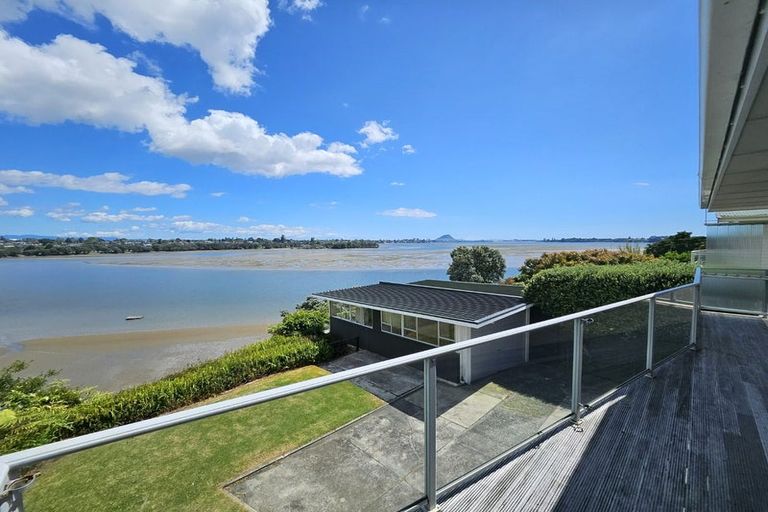 Photo of property in 52 Vine Avenue, Maungatapu, Tauranga, 3112