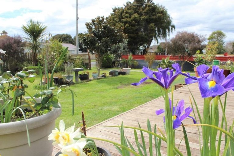 Photo of property in 47 Bignell Street, Gonville, Whanganui, 4501