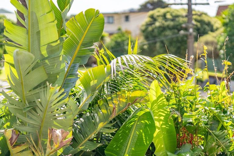 Photo of property in 8 Taipari Avenue, Raglan, 3225