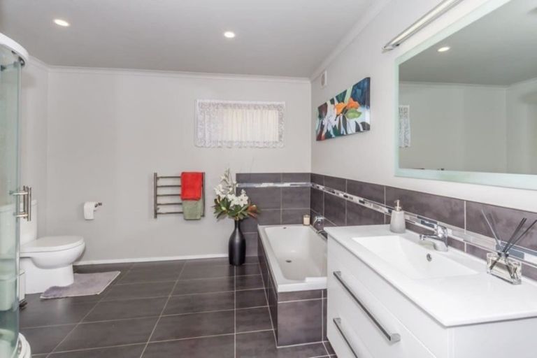 Photo of property in 246 Heatherlea East Road, Levin, 5571