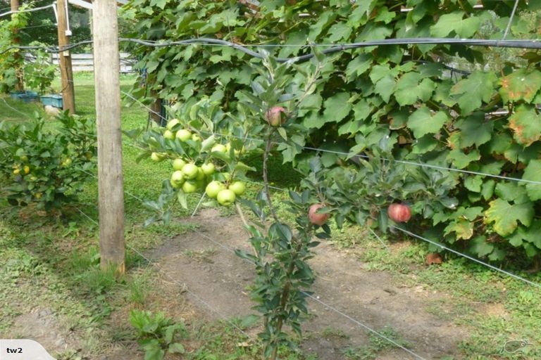 Photo of property in 509 Hossack Road, Waikite Valley, Rotorua, 3077