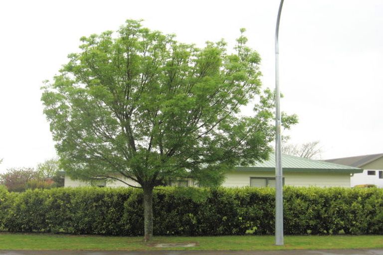 Photo of property in 21a Woodlands Road, Opotiki, 3122