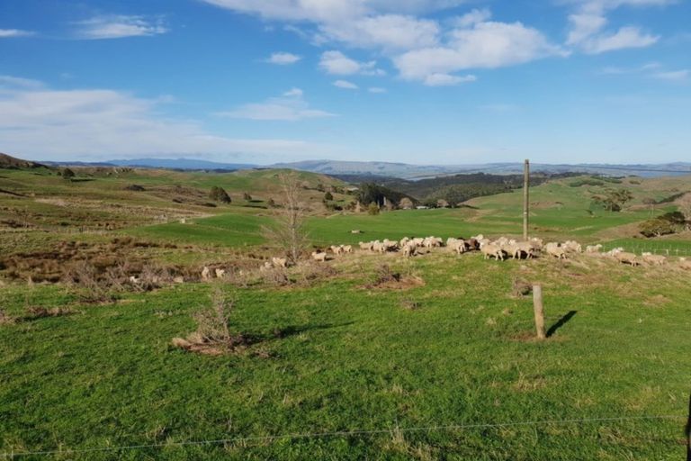 Photo of property in 169 Halliday Road, Waingaro, Ngaruawahia, 3793