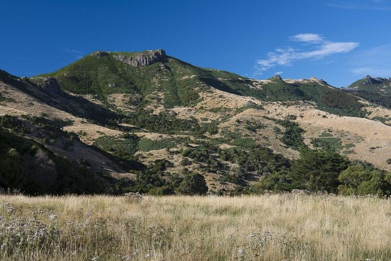 Photo of property in 273 Grehan Valley Road, Akaroa, 7520