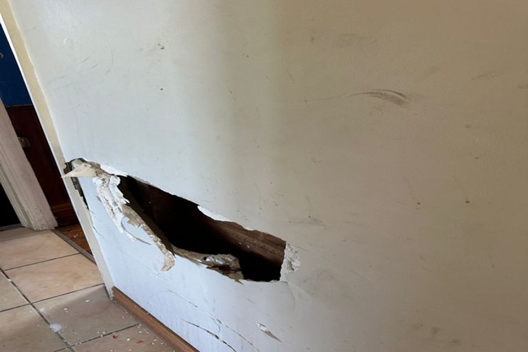 Photo of property in 89 Elm Row, Dunedin Central, Dunedin, 9016