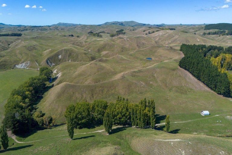 Photo of property in 300 Pattison Road, Akina, Hastings, 4122