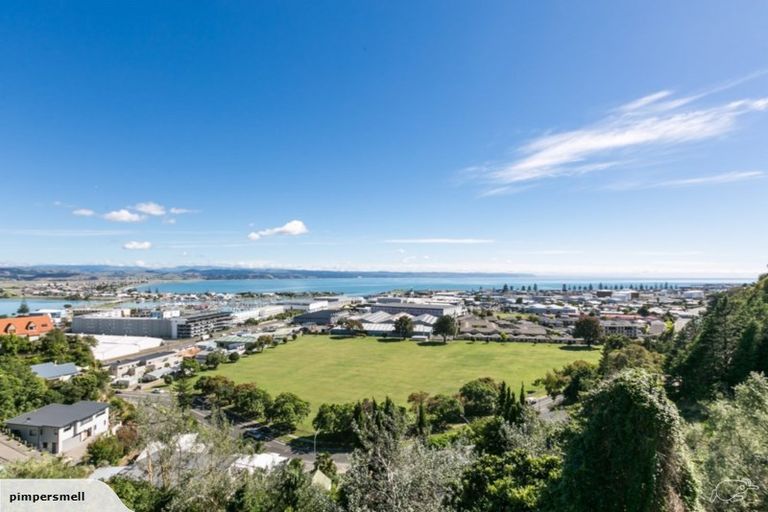 Photo of property in 30 Hospital Terrace, Hospital Hill, Napier, 4110