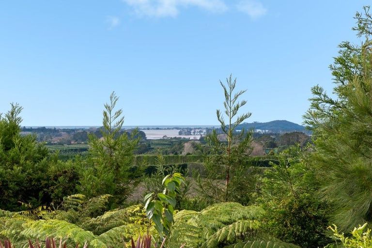 Photo of property in 100 Woodland Road, Tahawai, Katikati, 3170