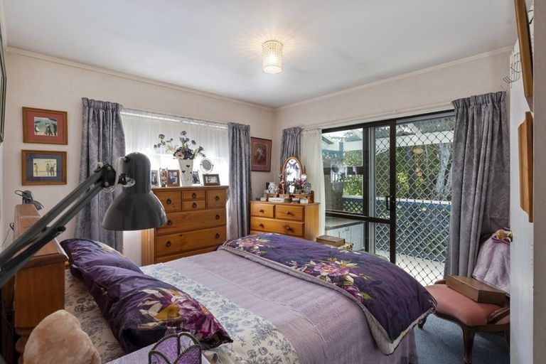 Photo of property in 19 Douglas Street, Levin, 5510