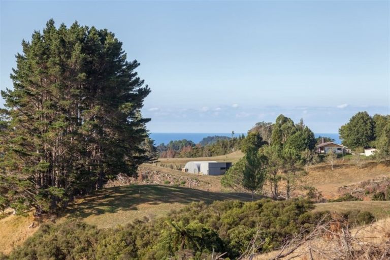 Photo of property in 50c Paul Road, Whenuakite, Whitianga, 3591