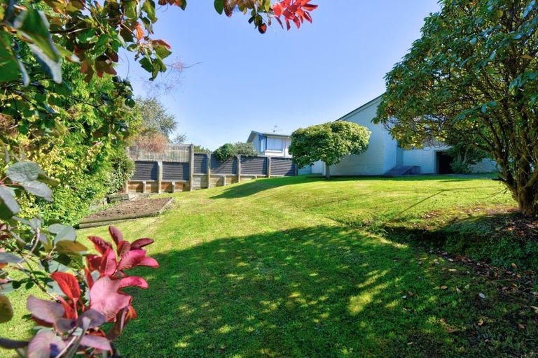 Photo of property in 141 Kakapo Street, Gore, 9710