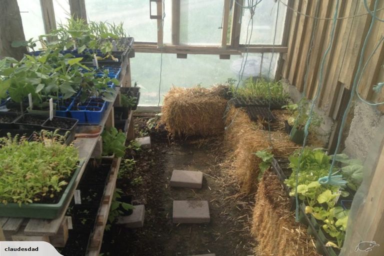 Photo of property in 148 Maskells Road, Balcairn, Amberley, 7481