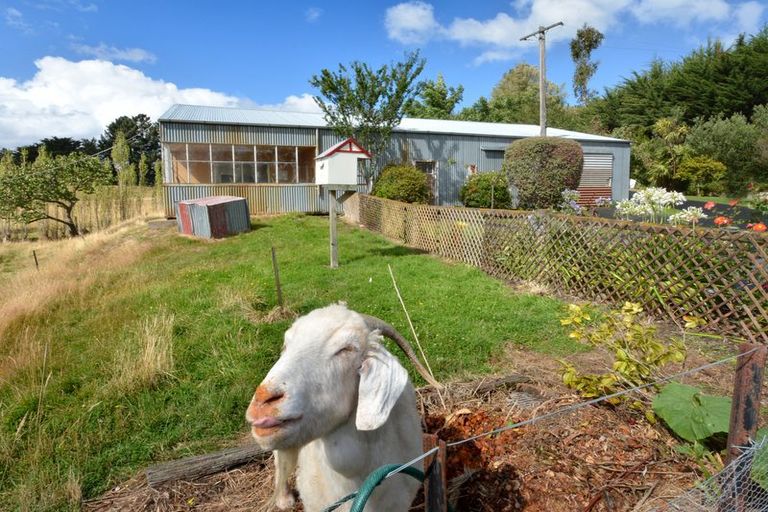 Photo of property in 134 Main South Road, Green Island, Dunedin, 9018