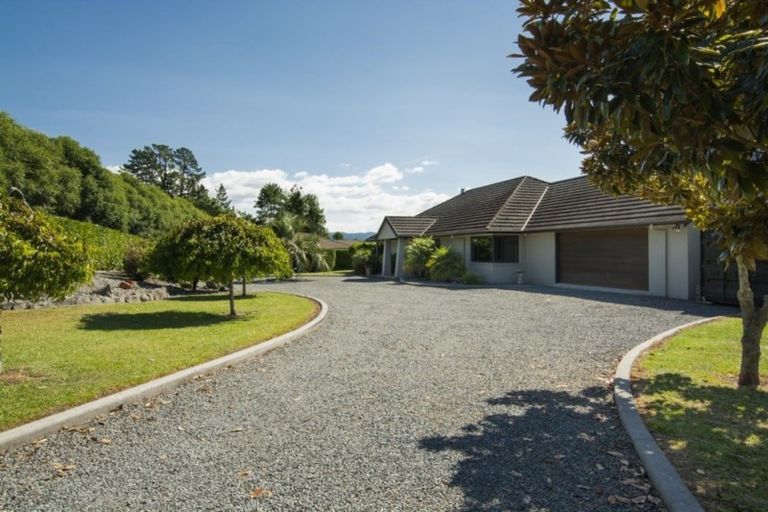 Photo of property in 286g Mclaren Falls Road, Omanawa, Tauranga, 3171