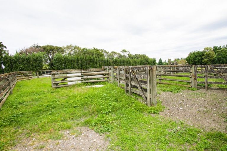 Photo of property in 104 Hansen Road, Makauri, Gisborne, 4071