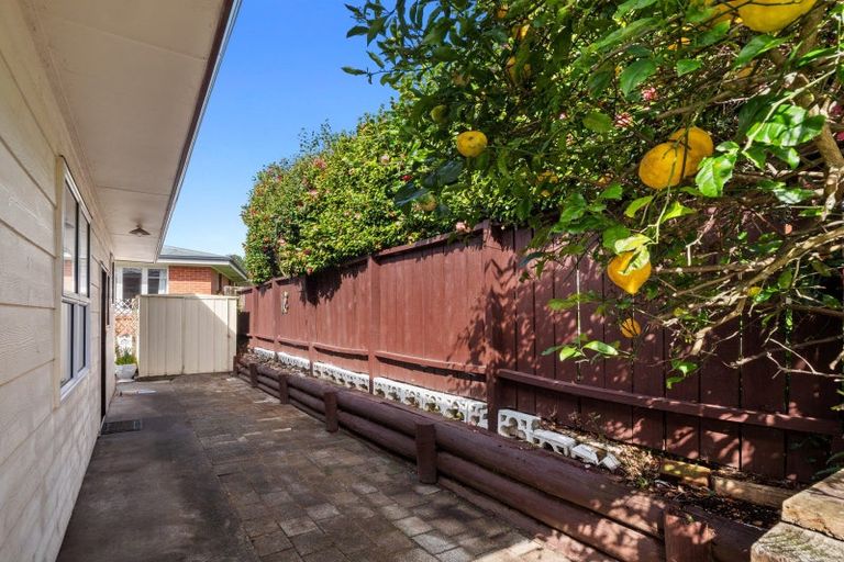 Photo of property in 18a Esk Street, Parkvale, Tauranga, 3112