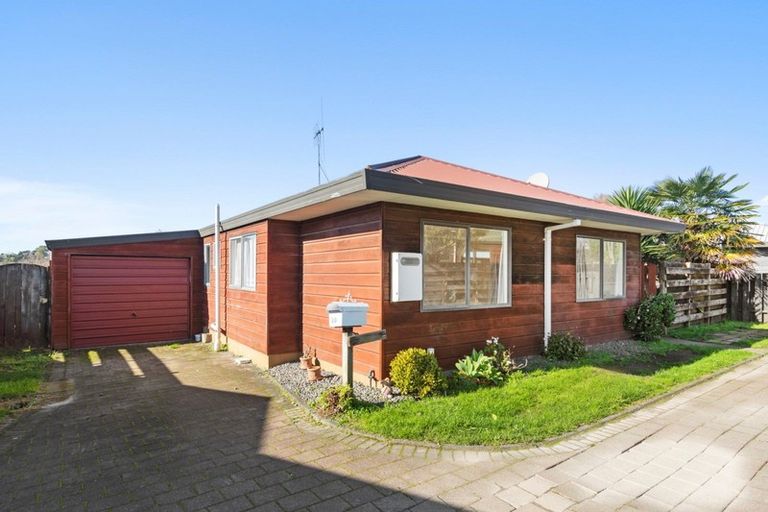 Photo of property in 10a College Place, Poike, Tauranga, 3112