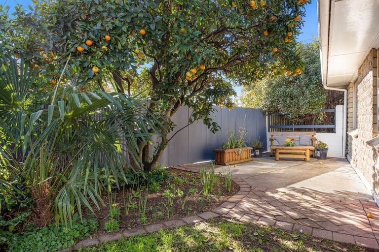 Photo of property in 232 Scott Street, Redwoodtown, Blenheim, 7201