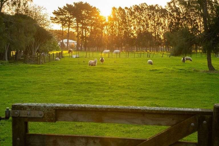 Photo of property in 48 Elizabeth Street, Waikanae, 5036