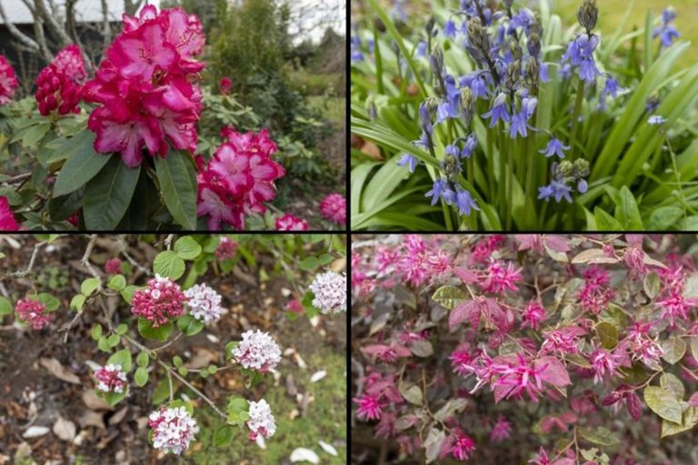 Photo of property in 86 Mountain Road, Oropi, Tauranga, 3173