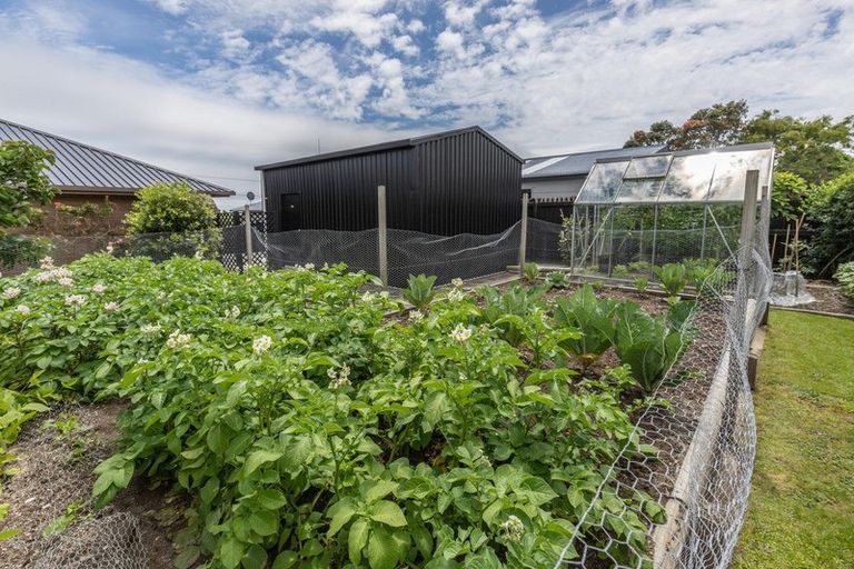 Photo of property in 717 Main South Road, Gladstone, Greymouth, 7805