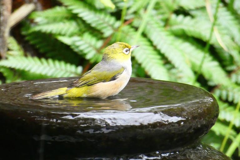 Photo of property in 120 Queen Sh25 Street, Thames, 3500