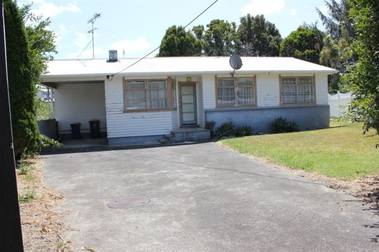 Photo of property in 24 Hinau Street, New Lynn, Auckland, 0600