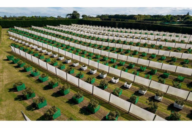 Photo of property in 581 Kerikeri Road, Kerikeri, 0293