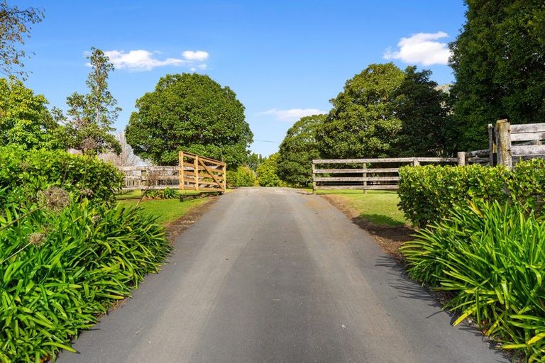 Photo of property in 137 Shelly Beach Road, Shelly Beach, Helensville, 0874