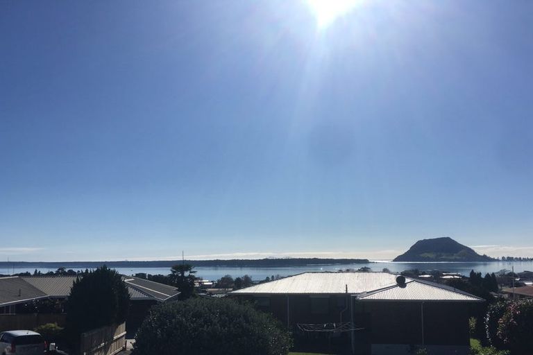 Photo of property in 19 Lemon Grove Avenue, Otumoetai, Tauranga, 3110