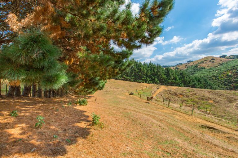 Photo of property in 94b Wilton Collieries Road, Glen Massey, Ngaruawahia, 3794