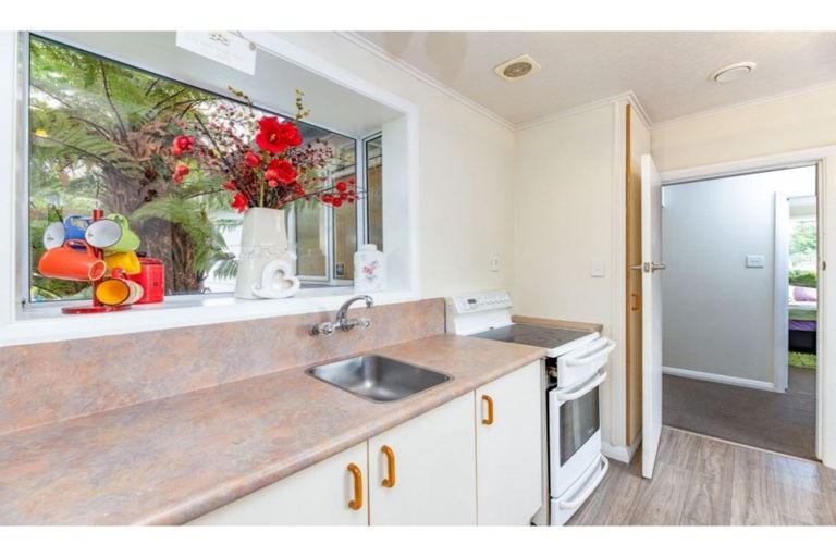 Photo of property in 8 Westcott Street, Dallington, Christchurch, 8061