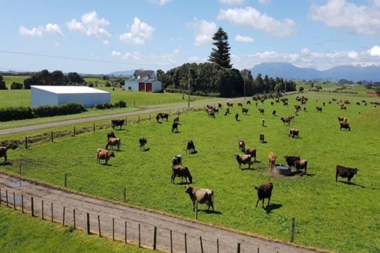 Photo of property in 396 Cape Road, Pungarehu, Opunake, 4685