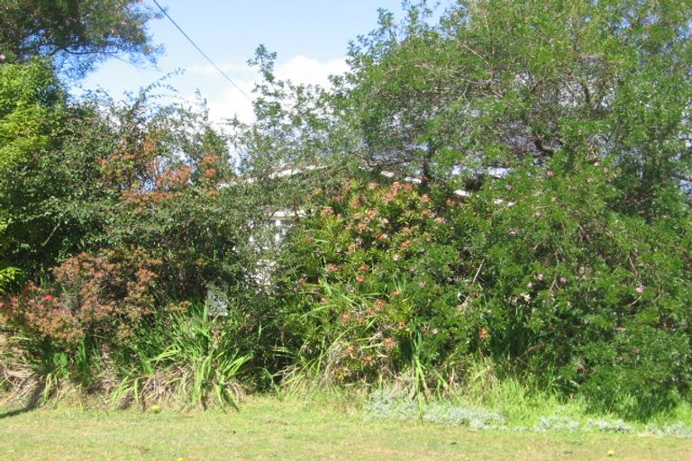 Photo of property in 120 Papanui Road, Whangamata, 3620