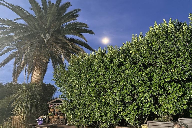 Photo of property in 1/324 Glenfield Road, Glenfield, Auckland, 0629