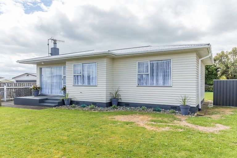 Photo of property in 3 Vogel Street, Levin, 5510