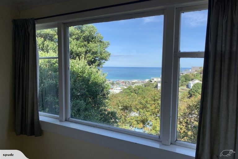 Photo of property in 45 Sutherland Road, Melrose, Wellington, 6023