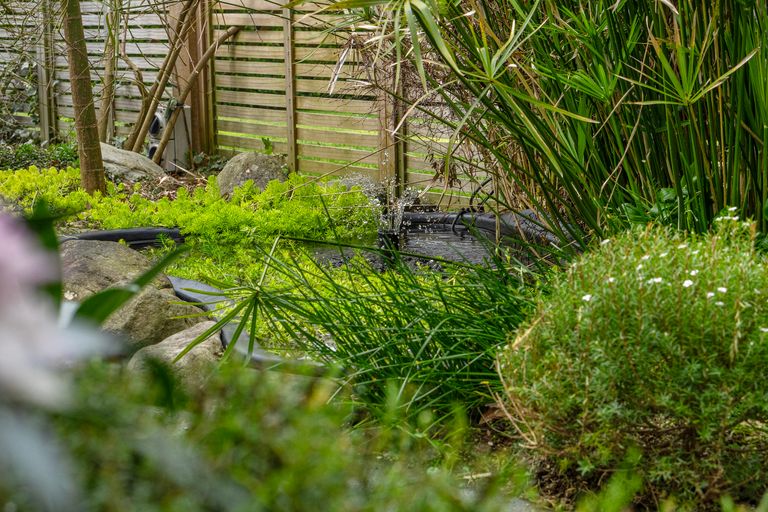 Photo of property in 14 O'sullivan Drive, Matamata, 3400