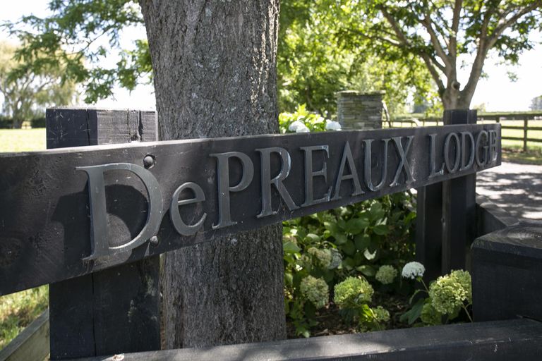 Photo of property in Taihoa Road South, Matamata, 3473