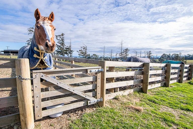 Photo of property in 64 Cameron Road, Hillend, Balclutha, 9272