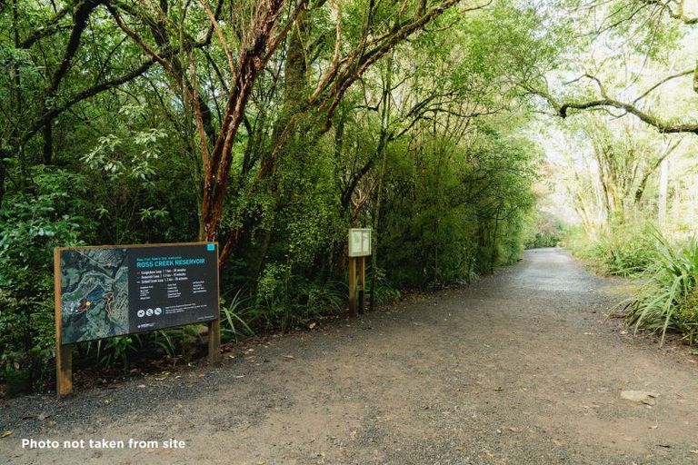 Photo of property in 135 Shetland Street, Wakari, Dunedin, 9010