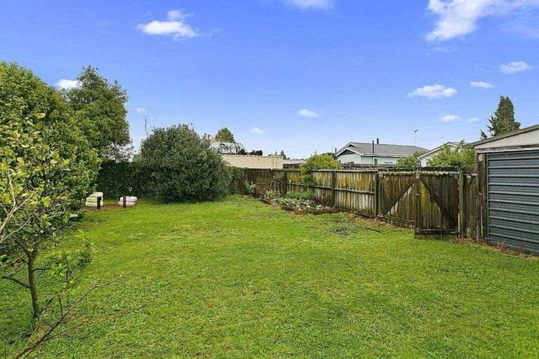 Photo of property in 113 Buckland Street, Putaruru, 3411