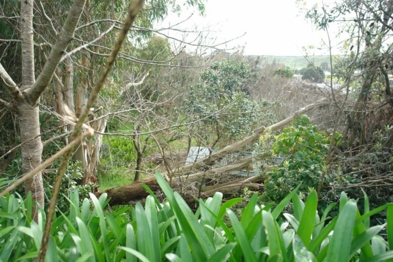 Photo of property in 26 Bedford Street, Patea, 4520