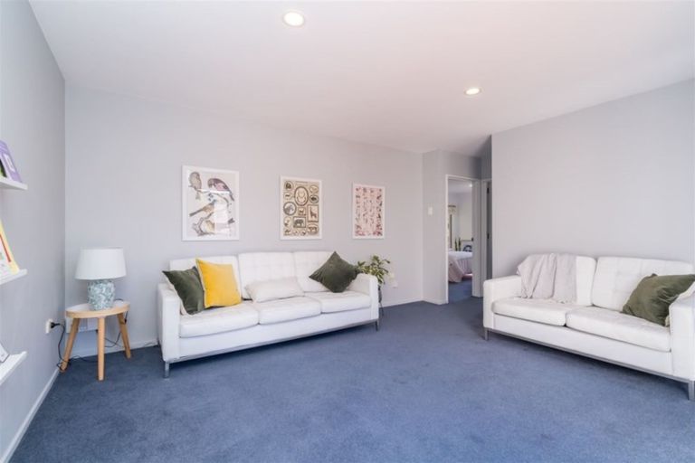 Photo of property in 9 Ribbonwood Close, Normanby, Dunedin, 9010