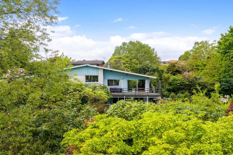 Photo of property in 63 Henry Hill Road, Taupo, 3330