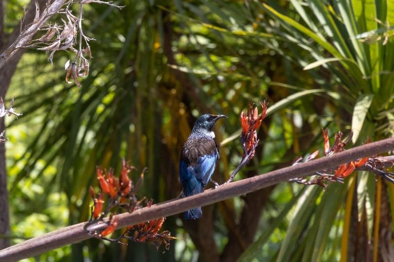 Photo of property in 277 Rodney Road, Whangateau, 0985
